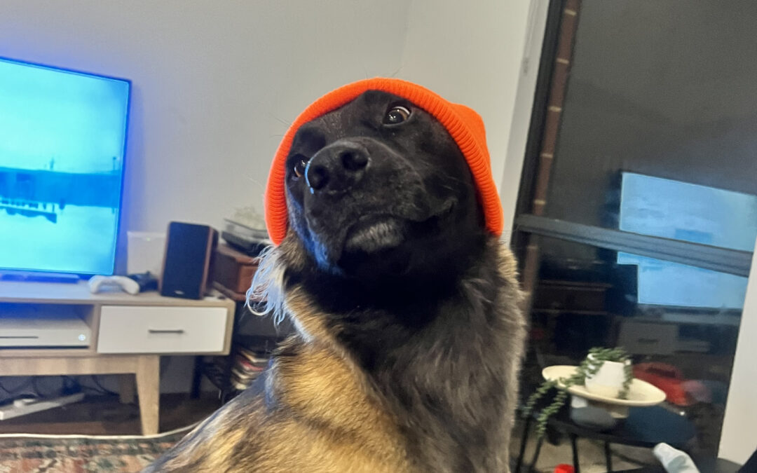 Super Chill Girl