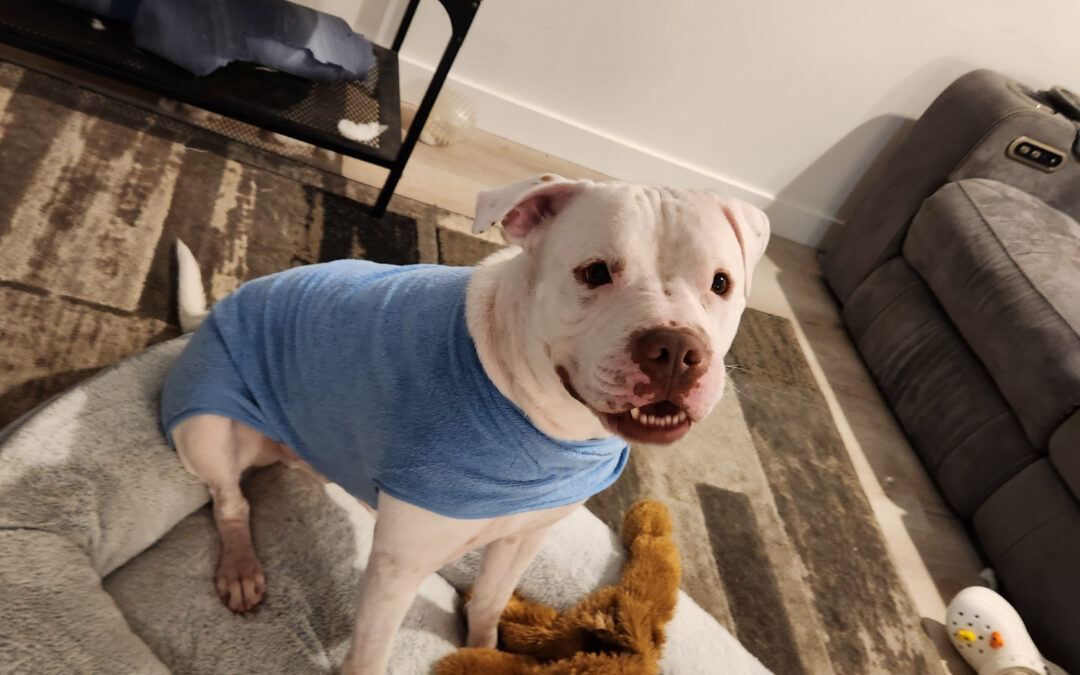 Chilli in his bath robe