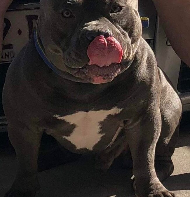 Diesel