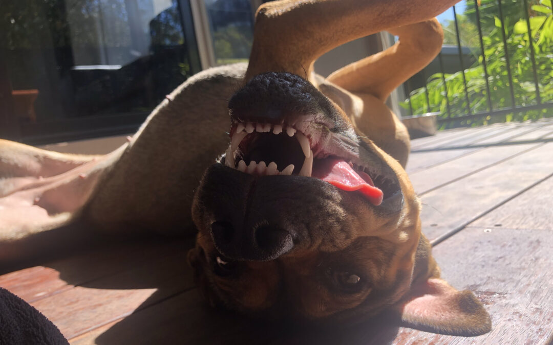 Living her best life