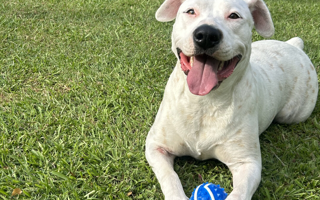 One happy girl