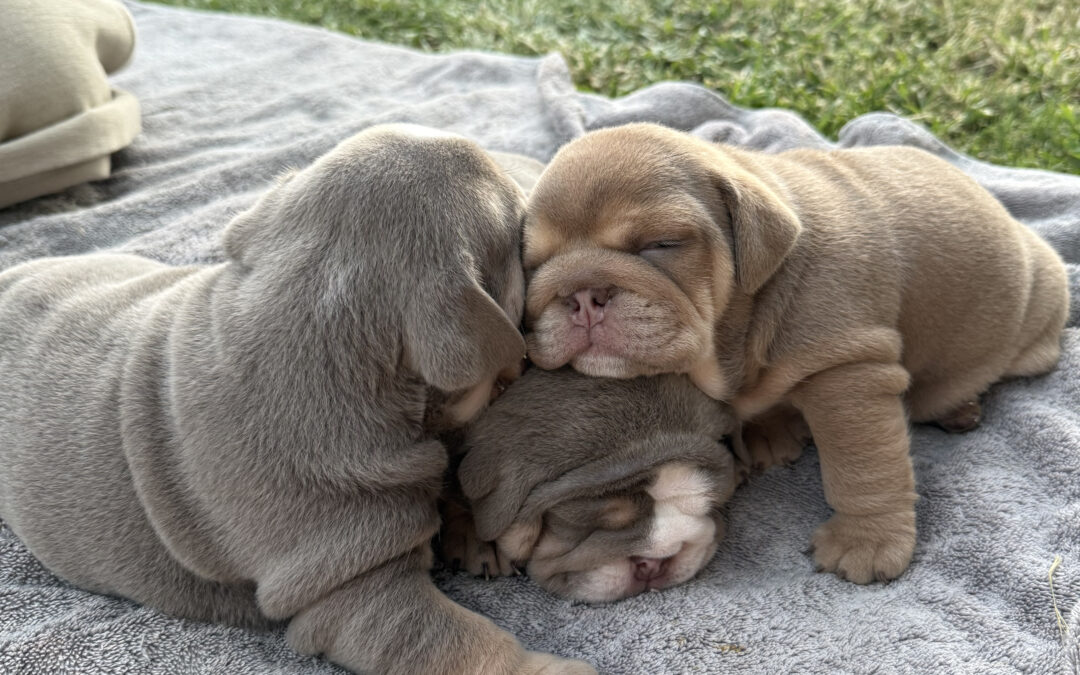 Sleeping beauty’s