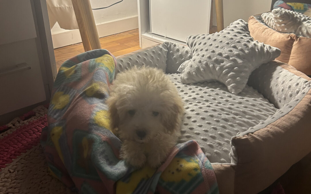 Maggie