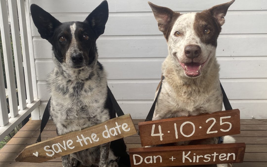 Save The Date