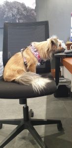 Working life