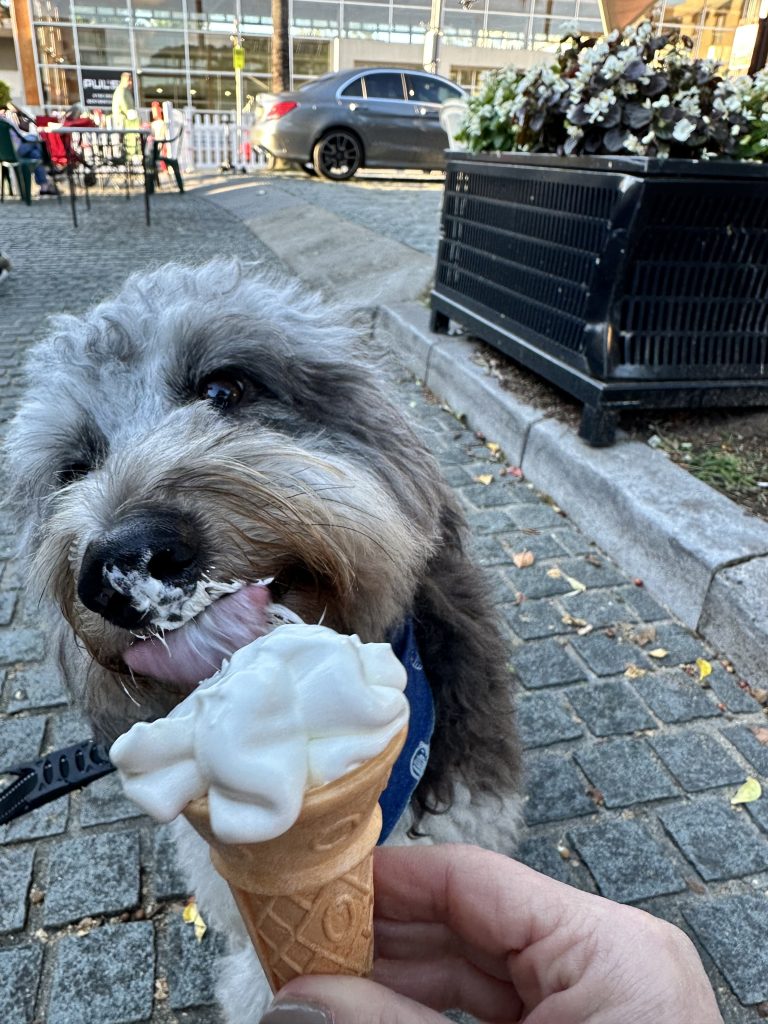 MMMYUMMY