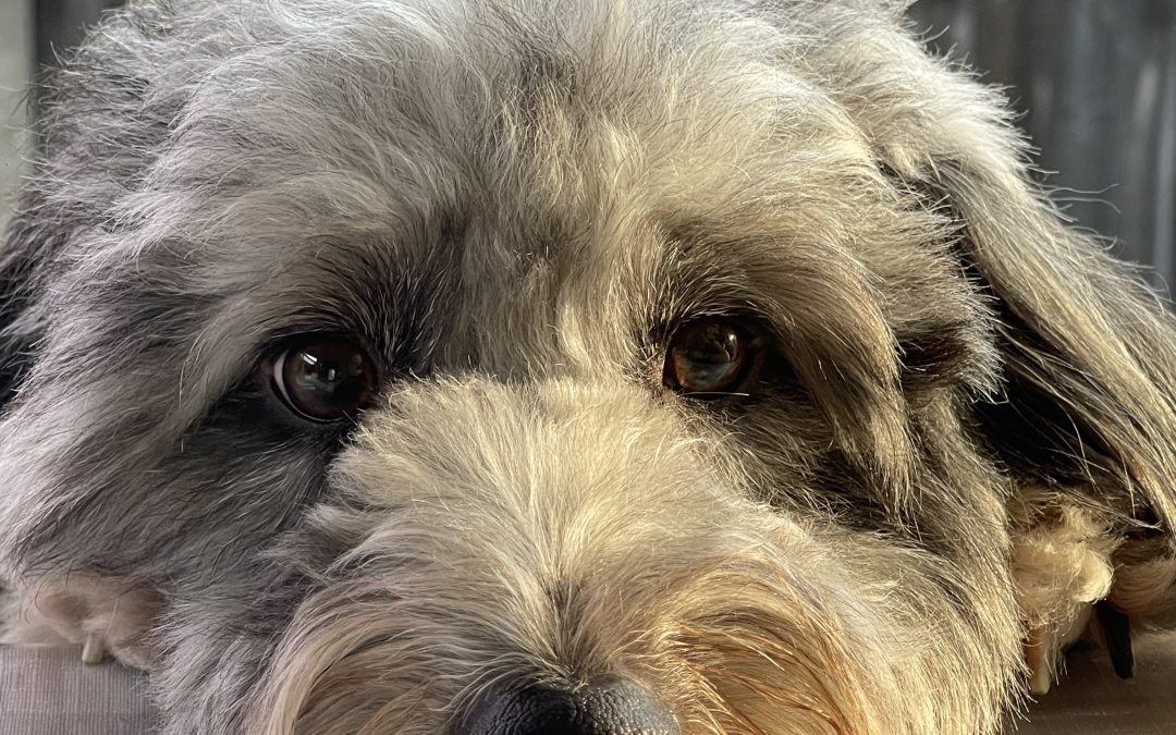 Up Close and Personal